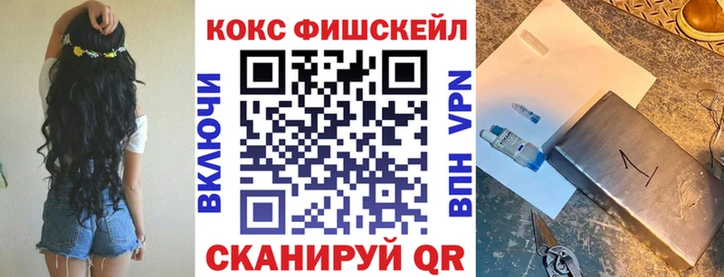 MEGA как войти  Спасск  КОКАИН FishScale 