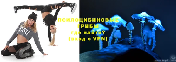 ПСИЛОЦИБИНОВЫЕ ГРИБЫ Алзамай