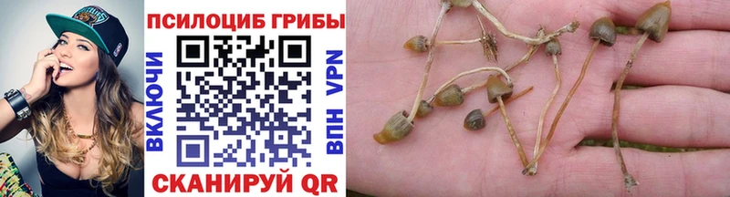 Галлюциногенные грибы Psilocybine cubensis Спасск